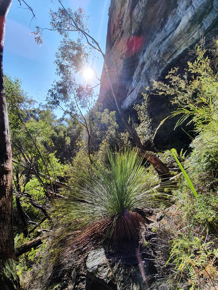 Why this is my favourite walk in the mountains, Diana 'D' Barnes