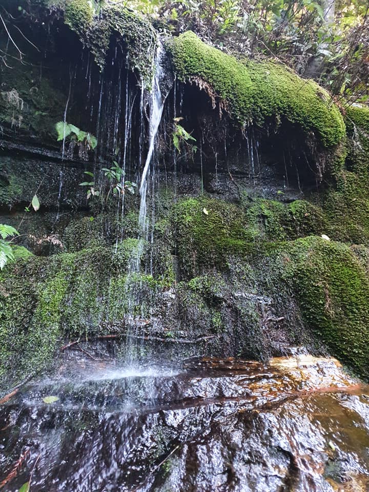 Why this is my favourite walk in the mountains, Diana 'D' Barnes