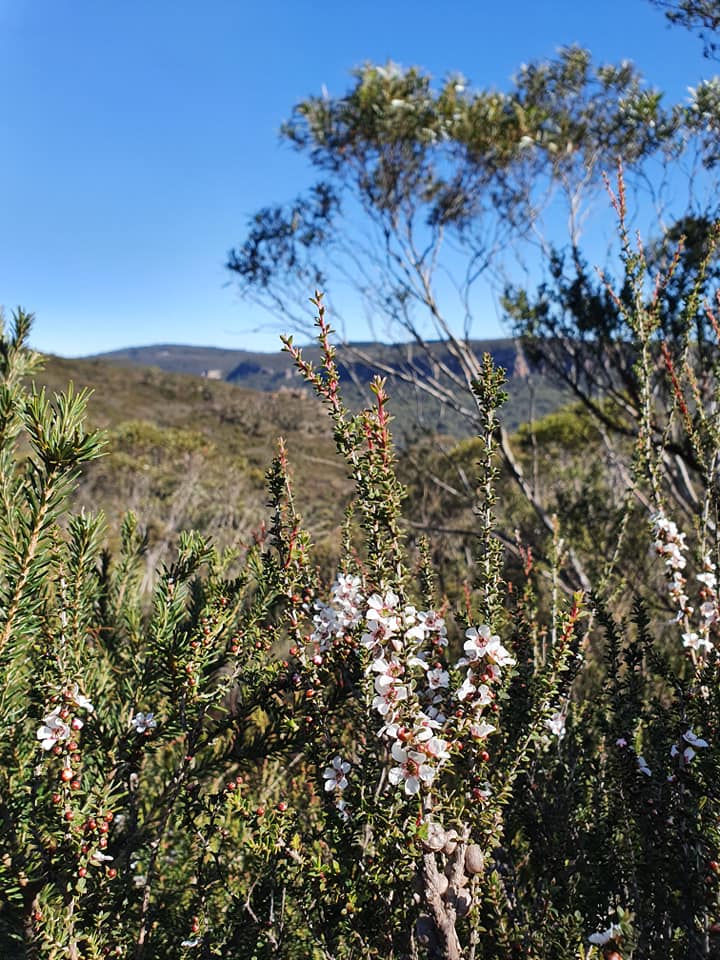 Why this is my favourite walk in the mountains, Diana 'D' Barnes