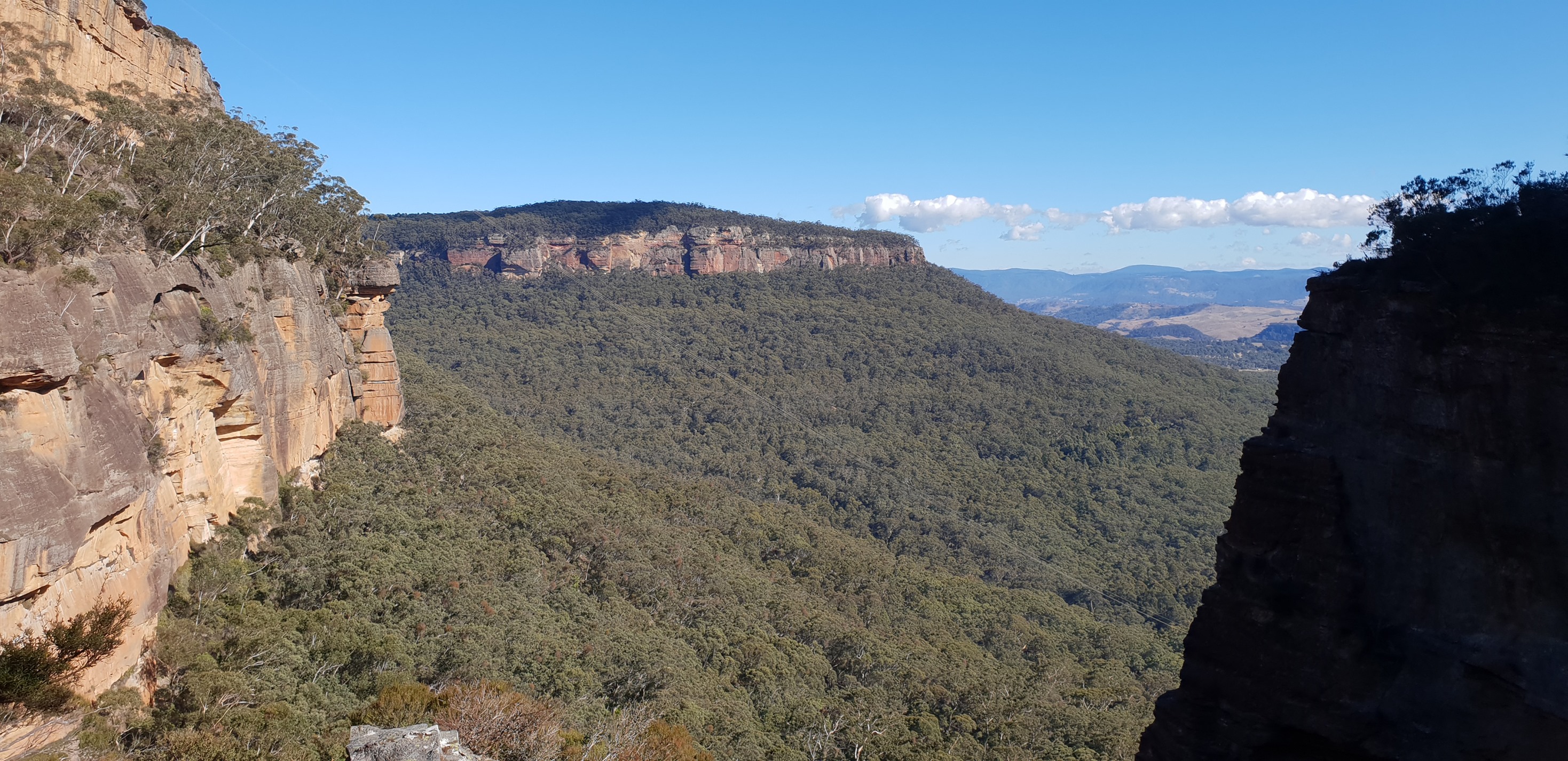 Centennial Glen, Felicia Jahja