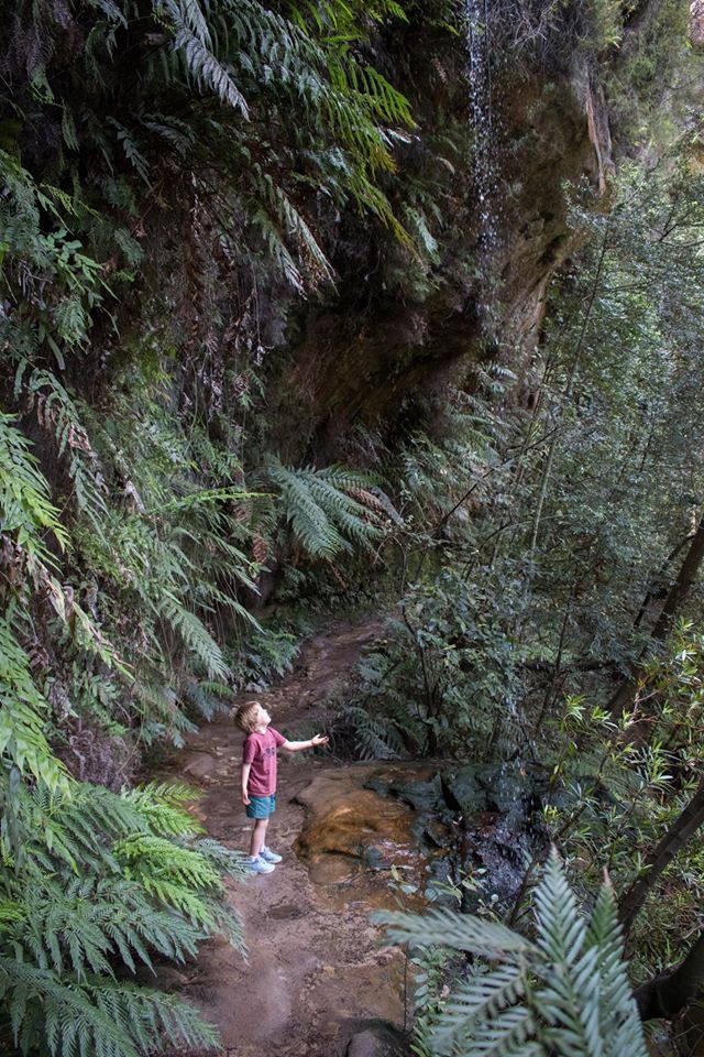 Centennial Glen Waterfall, Neil Monteith