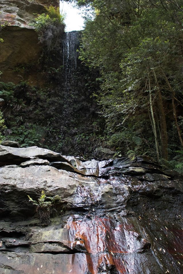 Centennial Glen Waterfall, Neil Monteith