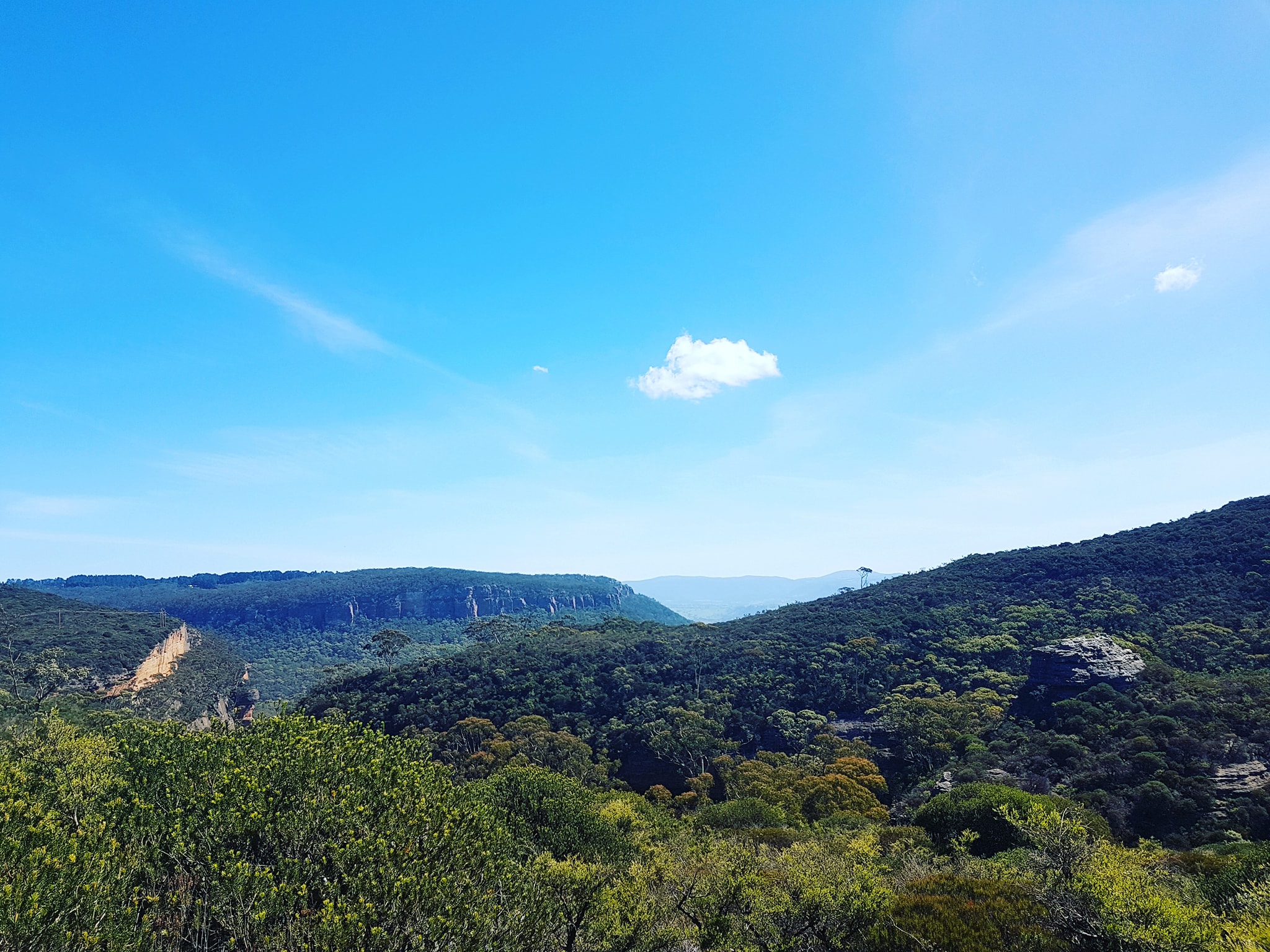 Centennial Glen, Veronika Ebbelaar